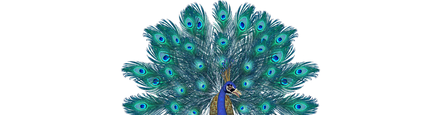 psy-peacock